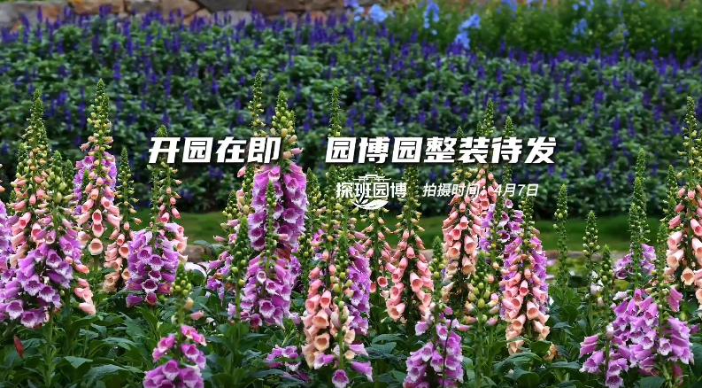 ̽��԰��|��԰�ڼ�������԰��԰��װ����