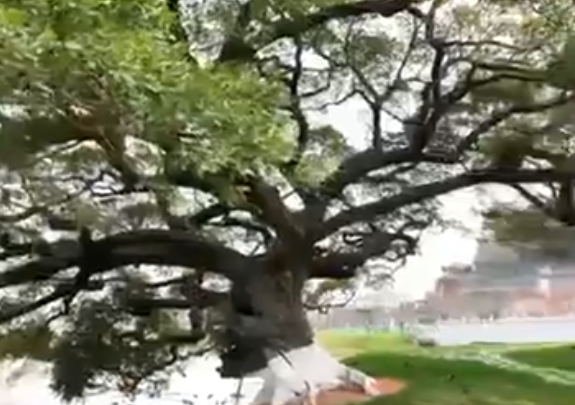 Ԥ����԰��԰��԰��԰��ô��ȽϺã������ܹ滮ʦ���Ƽ�