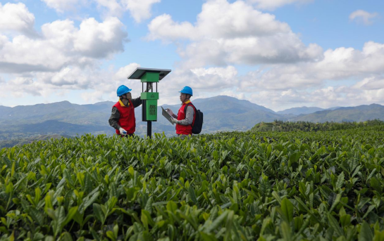 ����ʮ���ɽ�� ������������æ