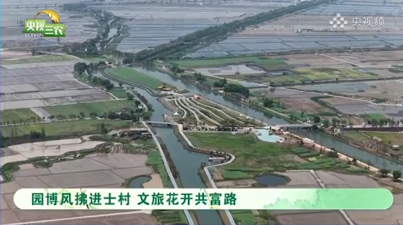 ���ӹ�ע�𰲲ܴ壺԰�������ʿ�� ���û�������·