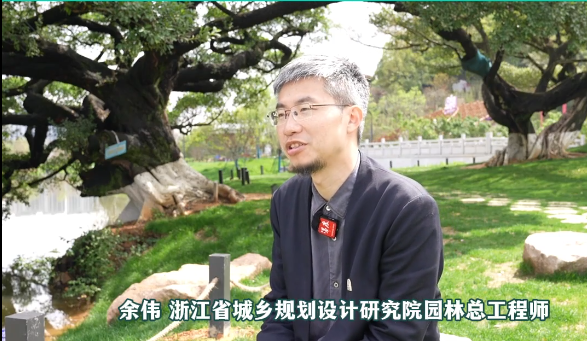 ԰����������̨ͤ¥�� ���ǰ������ߵ���������