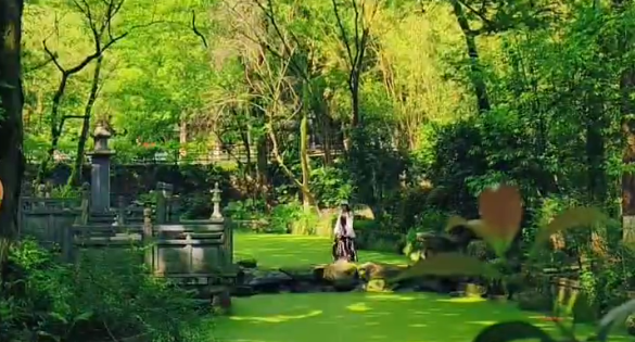 ץס�����Сβ�� ������ʵ�����Ұ������