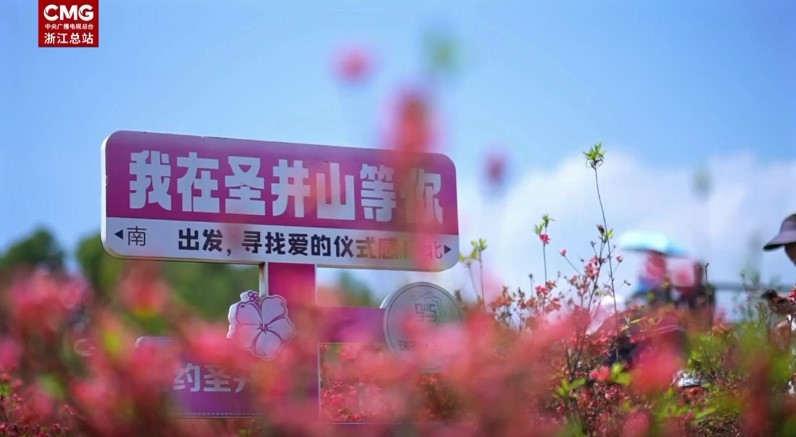 ���ӵ��ޣ����ݣ�ǧĶ�ž�ӳɽ�� �˷��ο�������