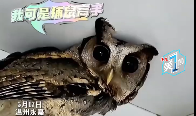 ������������ʩ����ů���ػ����ھ�