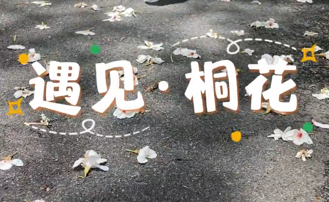 平阳知音涧:流水落花觅知音