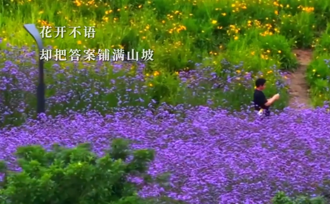 �簲԰��|�������ȴ�Ѵ�����ɽ��