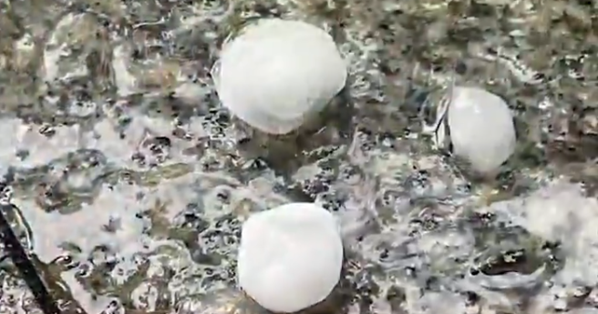 7��5�����磬���ݶ��������������