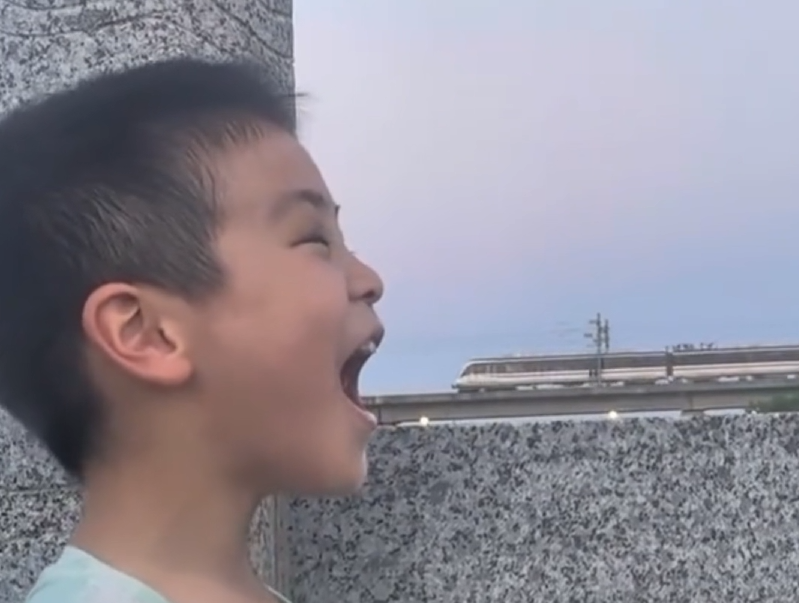 浙江也有自己的“李子坝”