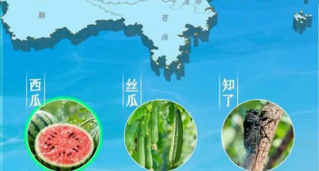 温州方言说“夏天”