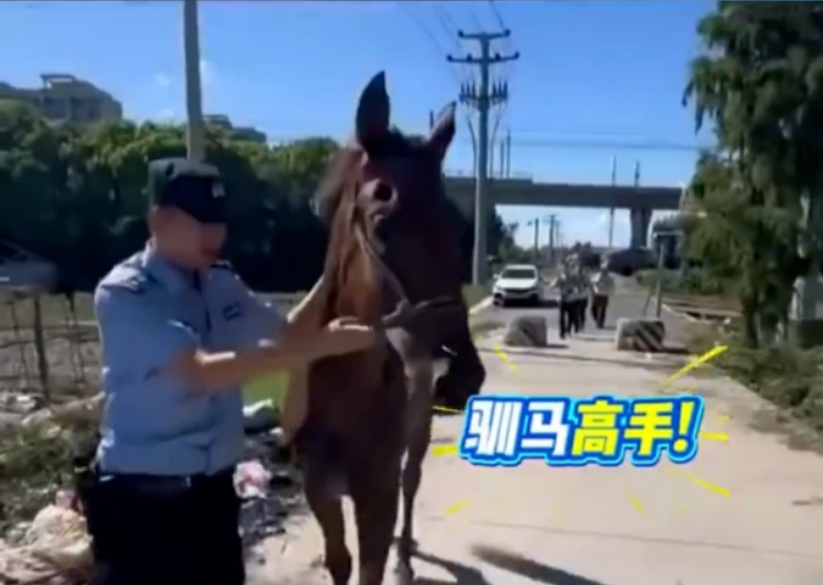 ����걺�������֡�����Ұ����