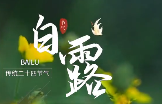 白露至,一夜凉一夜,秋风渐起记得添衣
