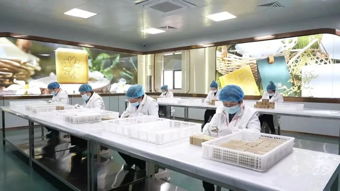 全国仅46家!温州科技职业学院参与共建的两家科技小院跻身“国家队”
